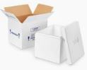 Box & Foam Overnight Insulated Container per Set