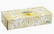 White Swan Facial Tissue 100x30/Case