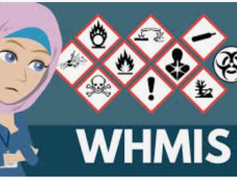 WHMIS Training Video Each