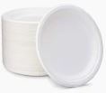 10" Bagasse Compostable Plates 500/Case