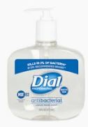 Dial Hand Sanitizer 16 oz Each