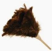 Ostrich Duster Each