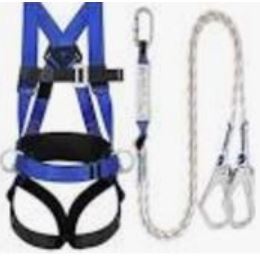 Harness & Lanyard Kit