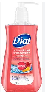 Dial Power Berry Foam Soap 221mL Each