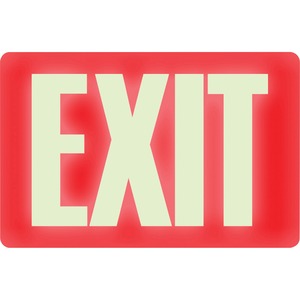 Glow-in-the-Dark EXIT Sign