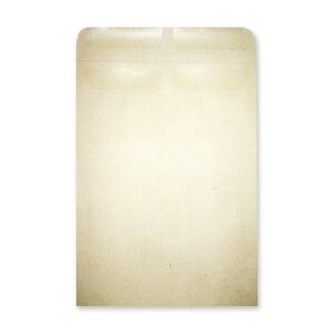 5-3/4"x9-1/2" Kraft Catalog Envelope