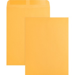 9"x12" Kraft Gummed Catalog Envelopes