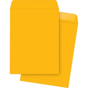 10"x13" Kraft Gummed Catalog Envelopes