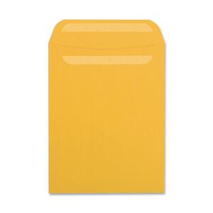 #13-1/2  Kraft SELF-SEAL Catalog Envelope
