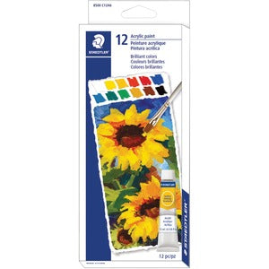 Acrylic Paint Tube Set
