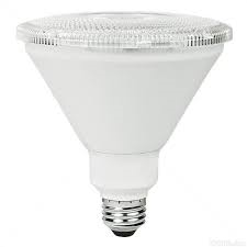 LED PAR38