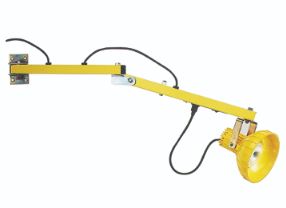 Single Arm 40" Dock Light