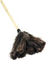 Ostrich Duster - Click Image to Close