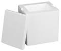 Insulated Container 12-3/4"x12-3/4"x8-1/2" - Click Image to Close