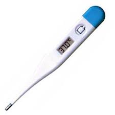 Digital Thermometer - Click Image to Close