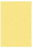 Pastel Goldenrod 8-1/2"x11" - Click Image to Close