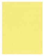 Pastel Canary 8-1/2"x11" - Click Image to Close